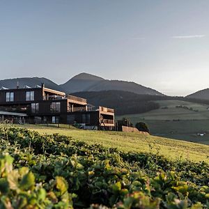 Aparthotel Panorama Living Dolomites